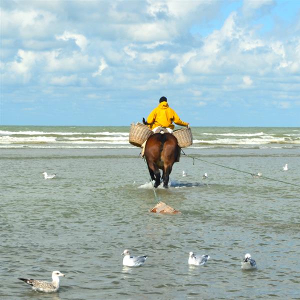 Oostduinkerke