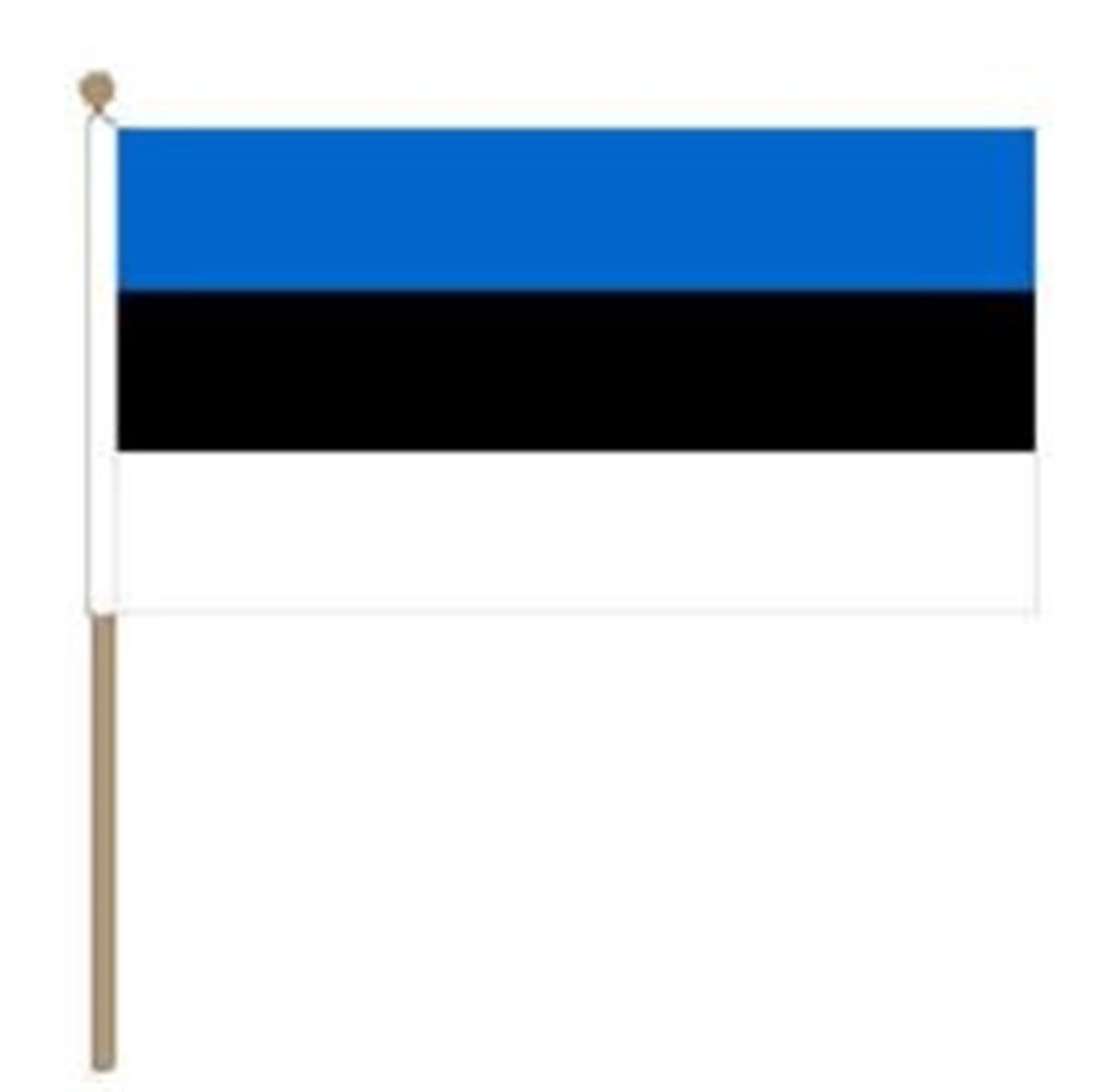 Vlag Estland 30 X 45 Cm Stok