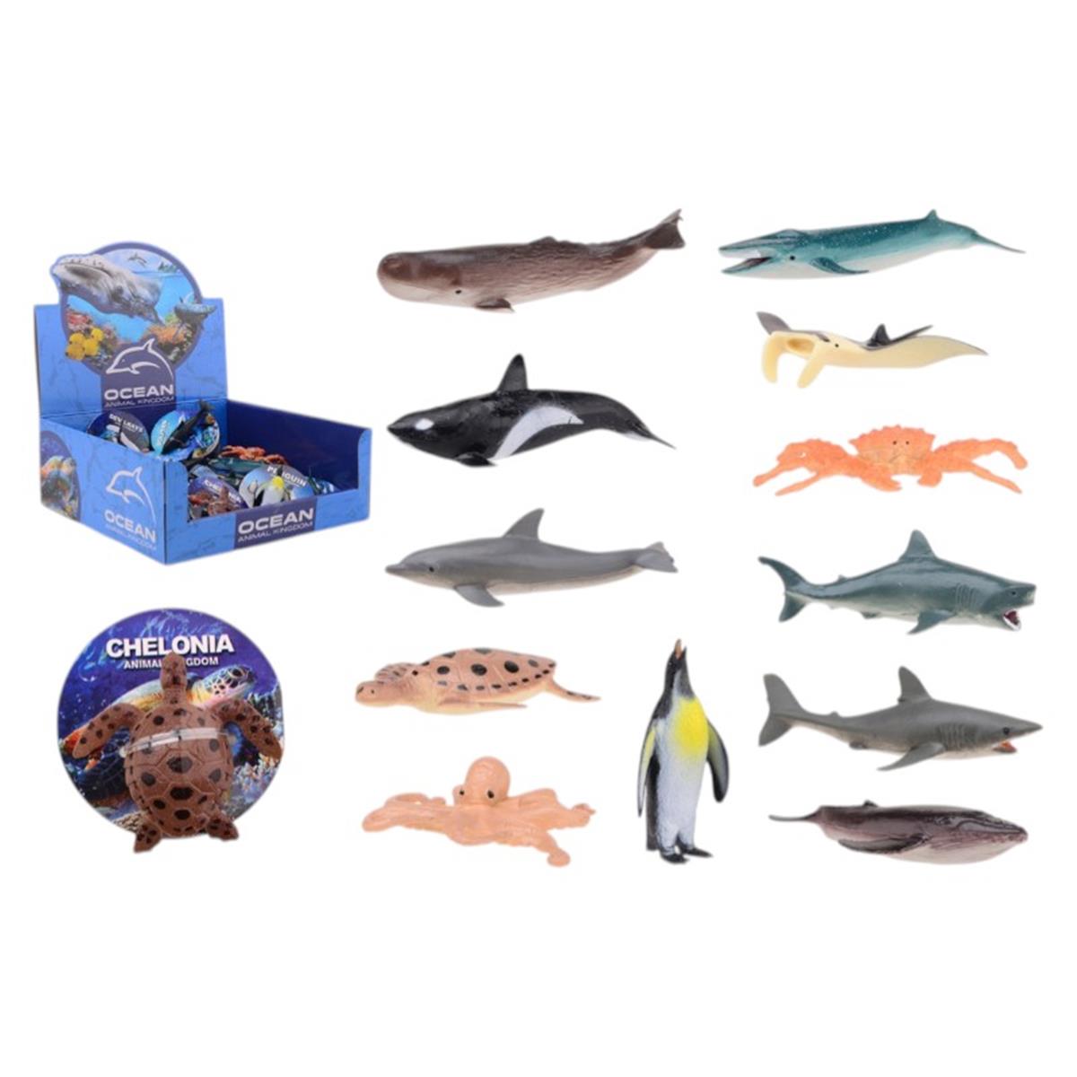 Animal world zee dieren in display