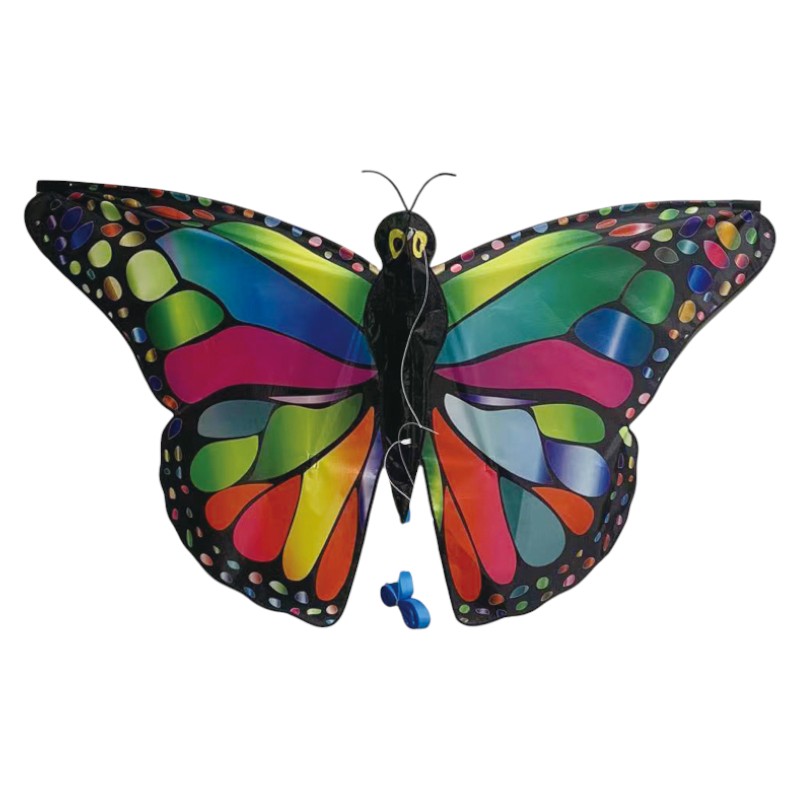 Vlieger Butterfly rainbow