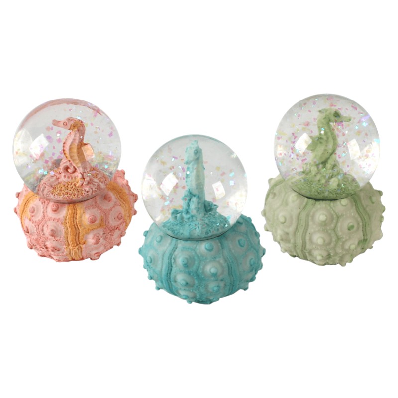 boule de neige hippocampe sur corail