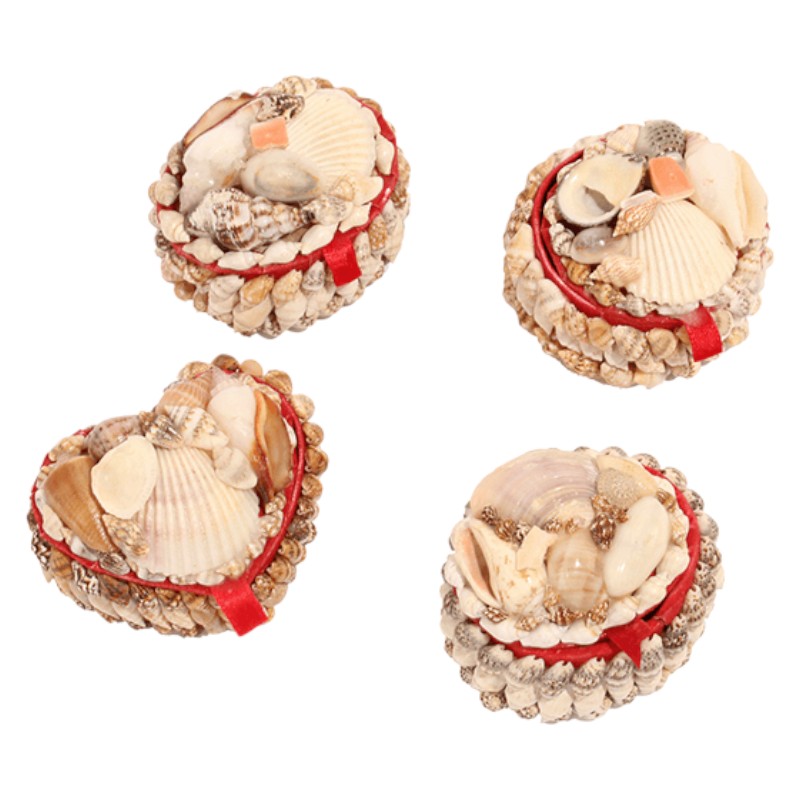 Boîtes des coquillages 4ass 6x6x4 cm 