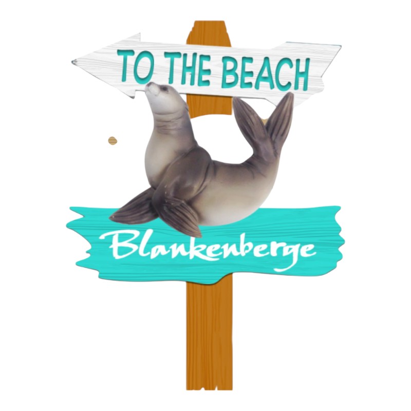 Magneet Blankenberge to the beach