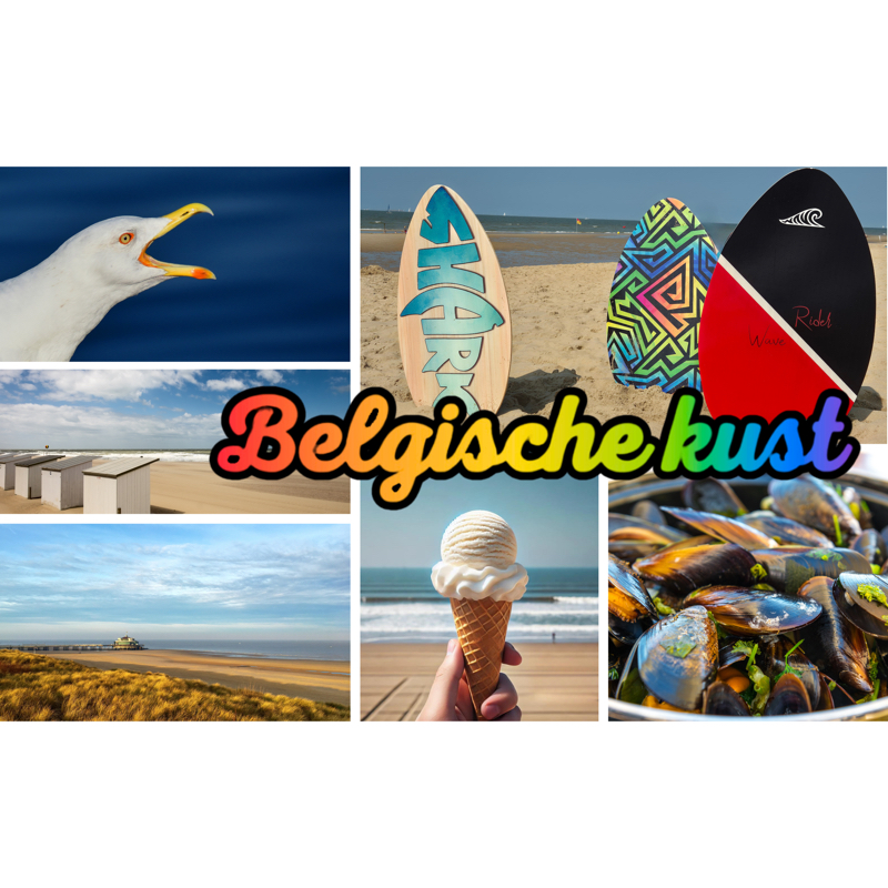 Magneet Belgische Kust Panorama