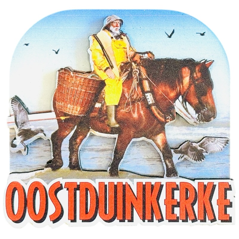 Magneet paardevisser Oostduinkerke mdf