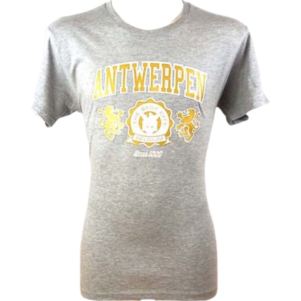 T-Shirt Adults Antwerpen 2 Lions Grey